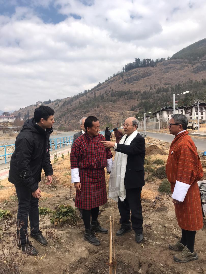 Cherry Saplings Planted on PCE’s Nangkar Choeling Campus @ dz